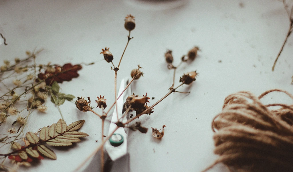 Labo Sauvage conseil fleurs séchées intemporelles Fleuriste Nantes